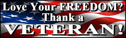Love Your FREEDOM? Thank a Veteran! Bumper Sticker.