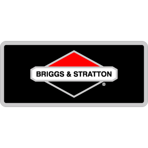 Briggs & Stratton Decal- Option 1, TM741.