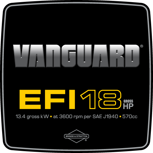 Briggs & Stratton VANGUARD EFI 18HP Engine Decal, TM789.