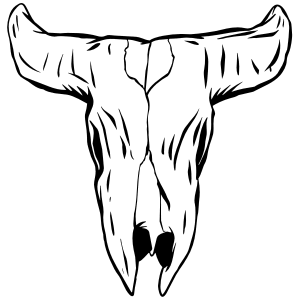 Economy Skull Decals- Longhorn Skull.